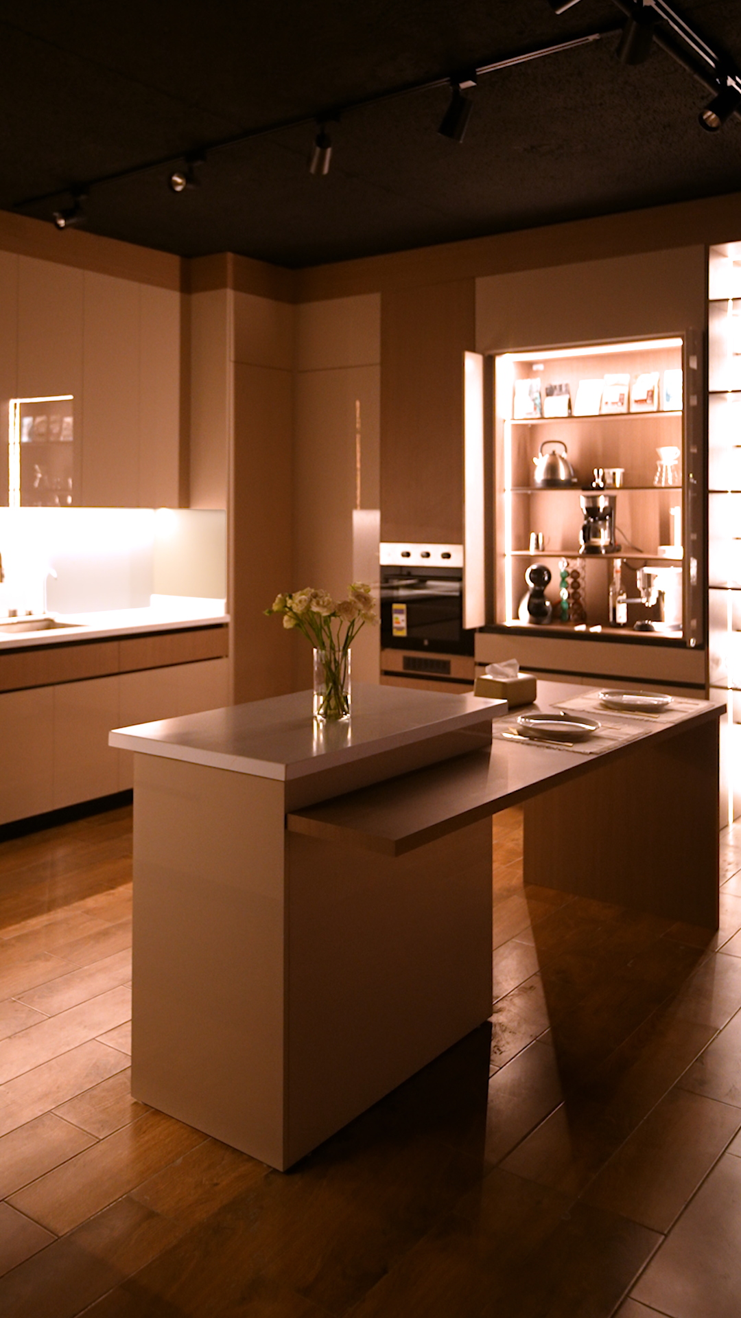Contemporary Kitchen 2